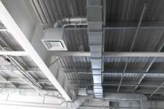 information_items_243